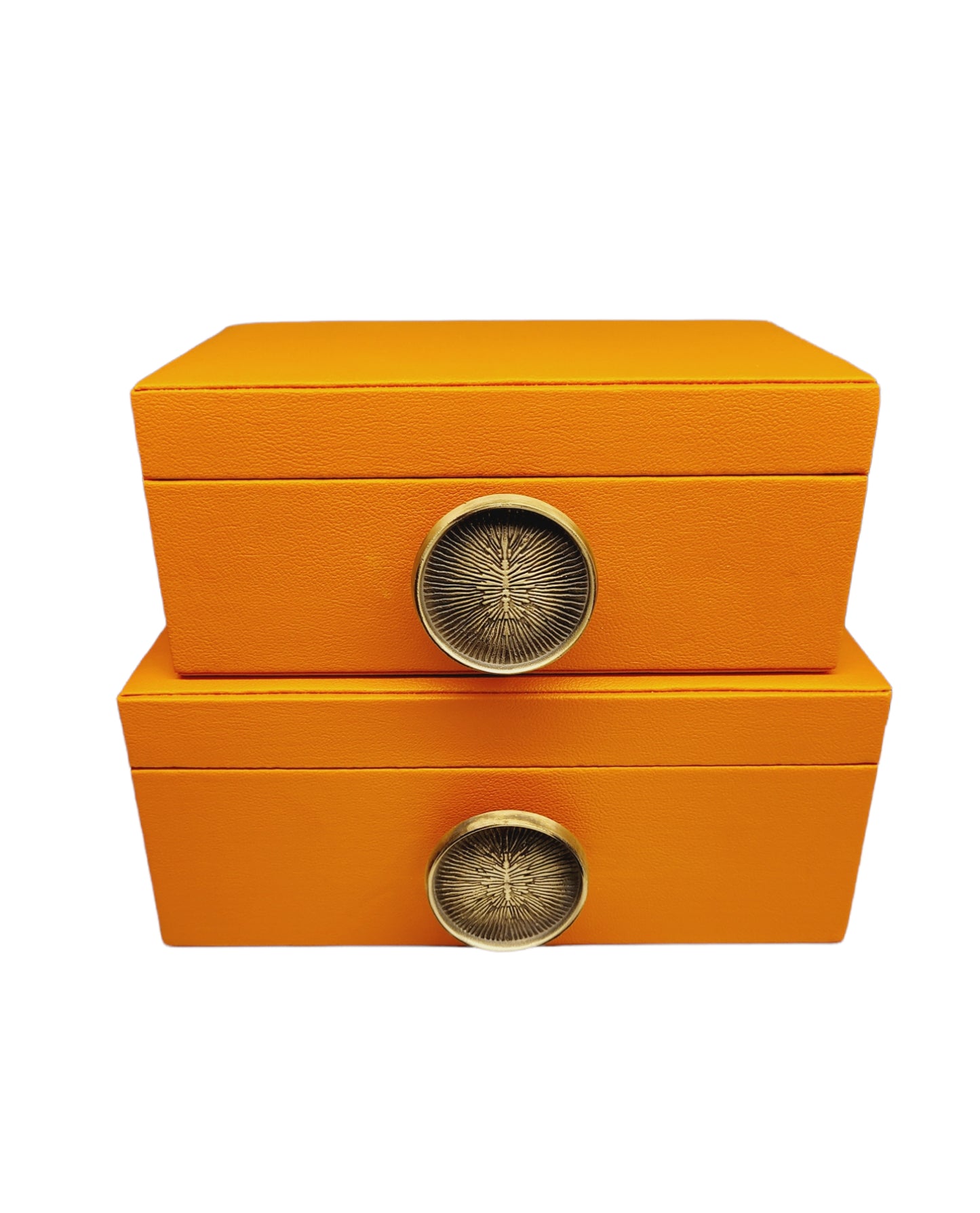 Decorative Box - Set of 2/Colored